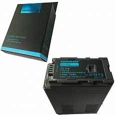 pin-vbg6-for-pana-3301